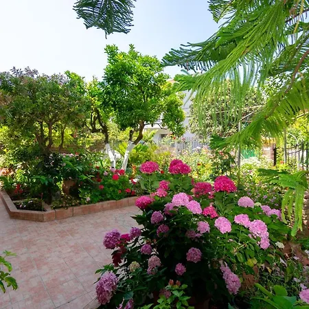 Sophia By Corfuescapes Lejlighed